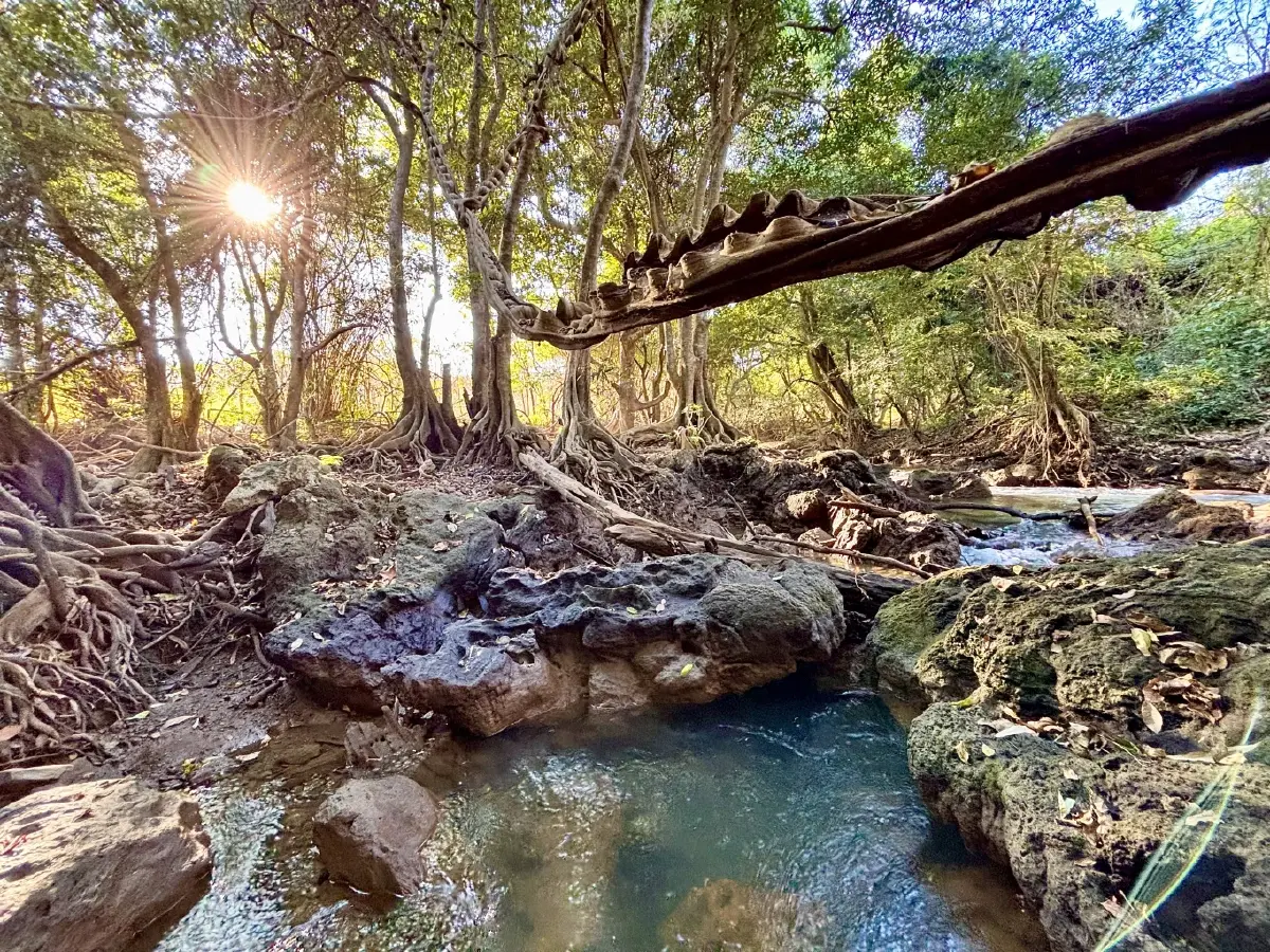 หน้าร้อน ปักหมุดเที่ยวเลย 'น้ำตกท่าสวรรค์' อ.นาด้วง น้ำใสไหลเย็น