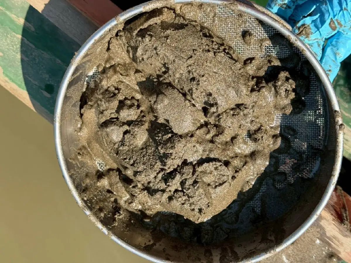 ผลตรวจ ตะกอนดิน 4 แม่น้ำเหนือ พบสารหนูพุ่งสูง ระดับอันตรายต่อสัตว์หน้าดิน