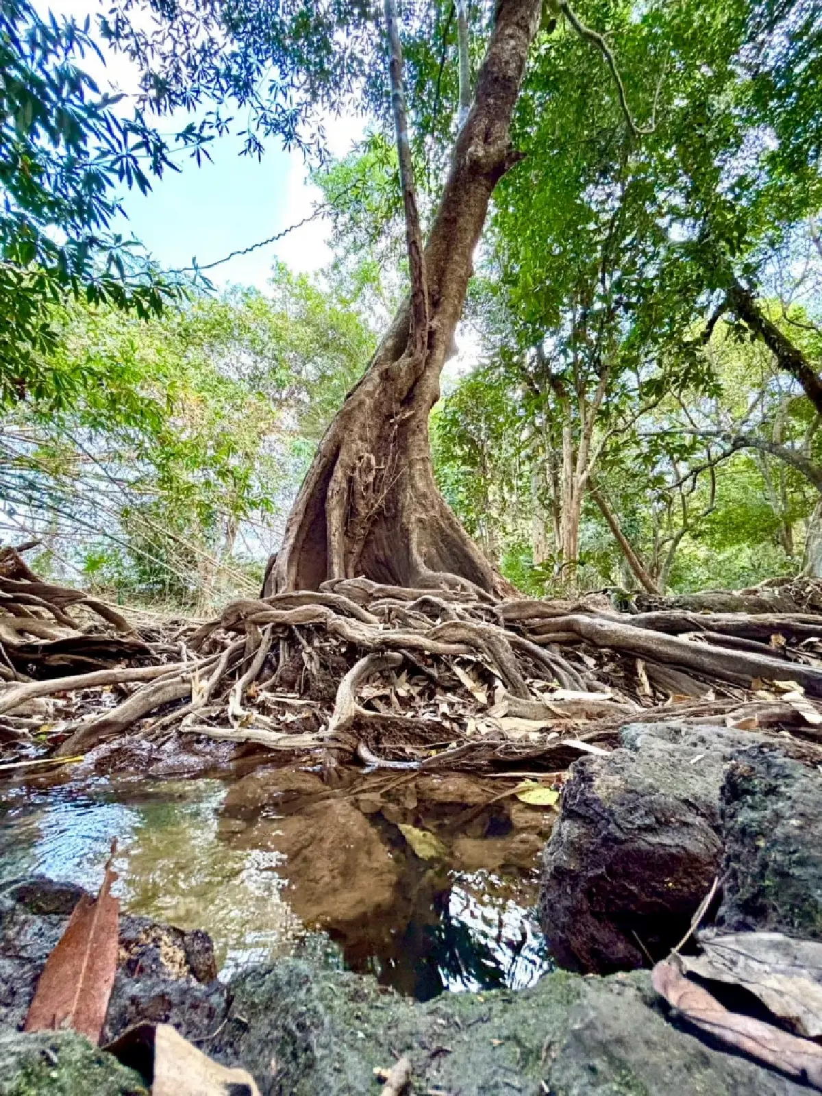 หน้าร้อน ปักหมุดเที่ยวเลย 'น้ำตกท่าสวรรค์' อ.นาด้วง น้ำใสไหลเย็น