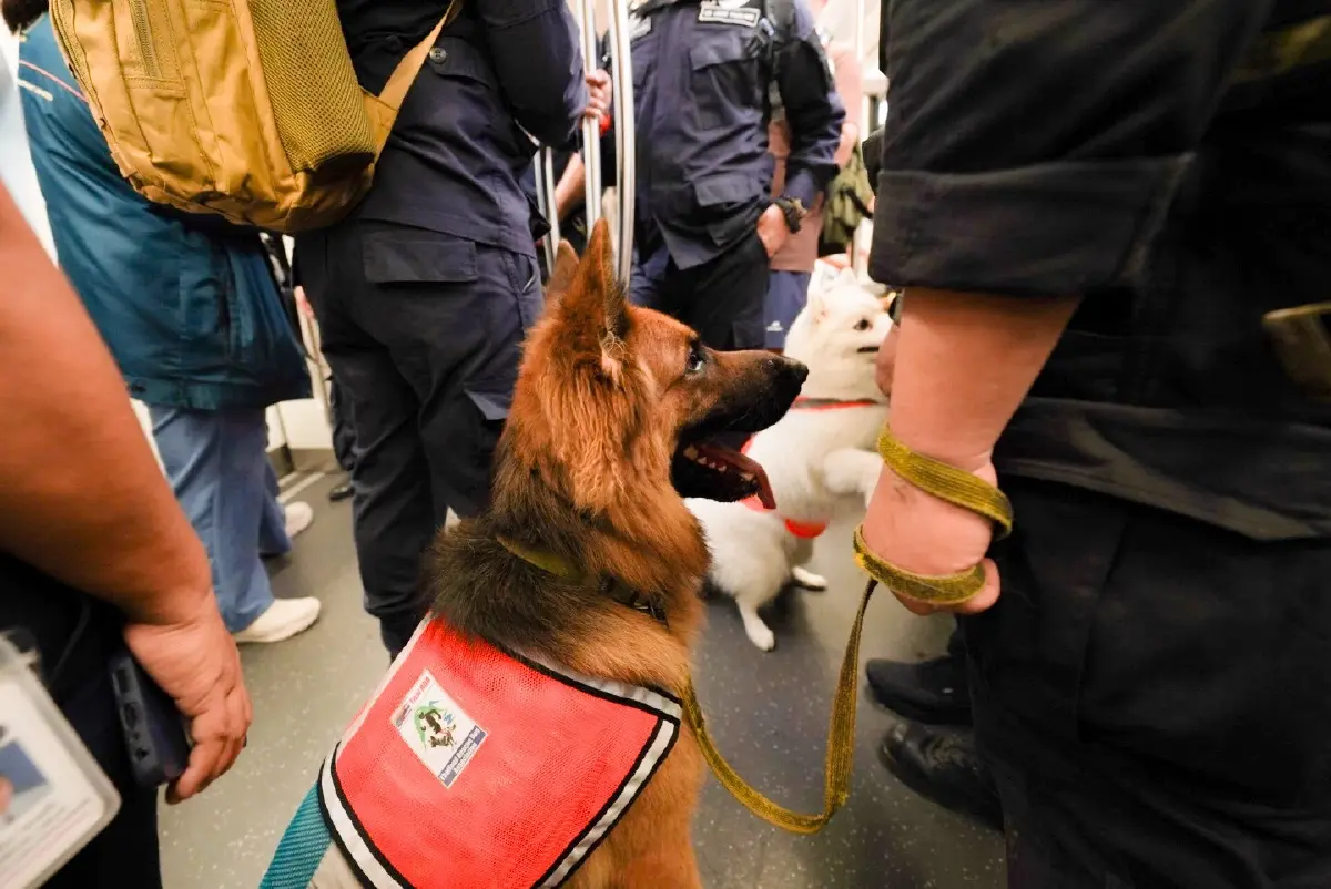 บีทีเอส เปิดสถานีต้อนรับทีม K9 USAR Thailand ฝึกซ้อมเคลื่อนย้ายกำลังพลผ่านระบบรถไฟฟ้า