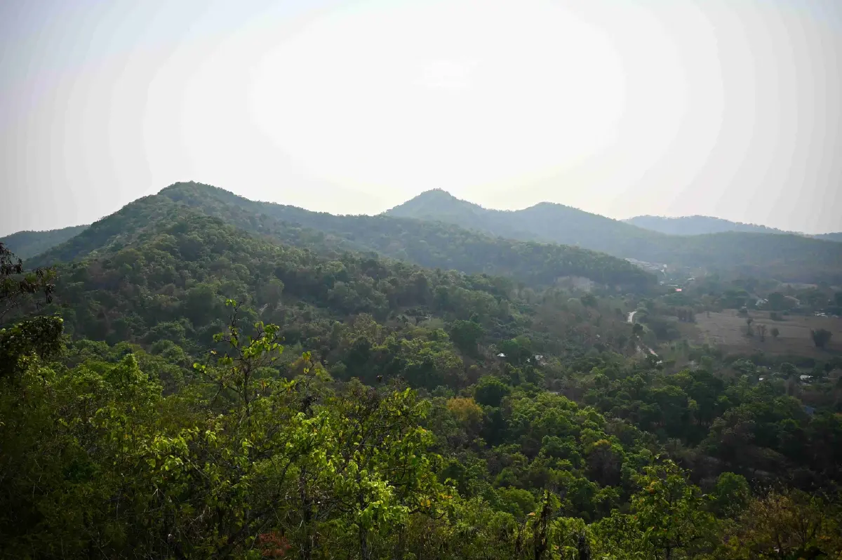 ‘แม่ฟ้าหลวงฯ’ รุกคืบคาร์บอนเครดิต  ปักธงพื้นที่ 1 ล้านไร่ ขยายพื้นที่สู่ป่าชายเลน