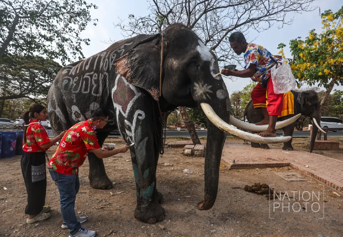 พลังซอฟต์พาวเวอร์ ทัพช้างแสนรู้ บุกกรุงเก่า เล่นน้ำสงกรานต์ 2569