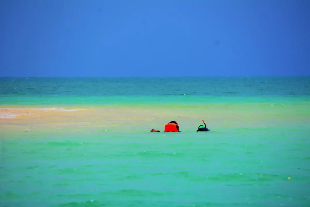 ค้างคืนบนเกาะกำ