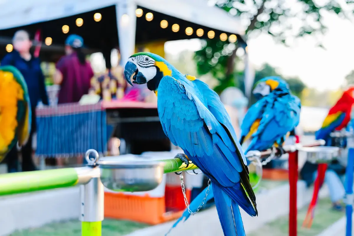 จากเหมืองสู่เมืองมีชีวิต! 'อัครา' พลิกภาพจำมากกว่าเหมืองทองคำ