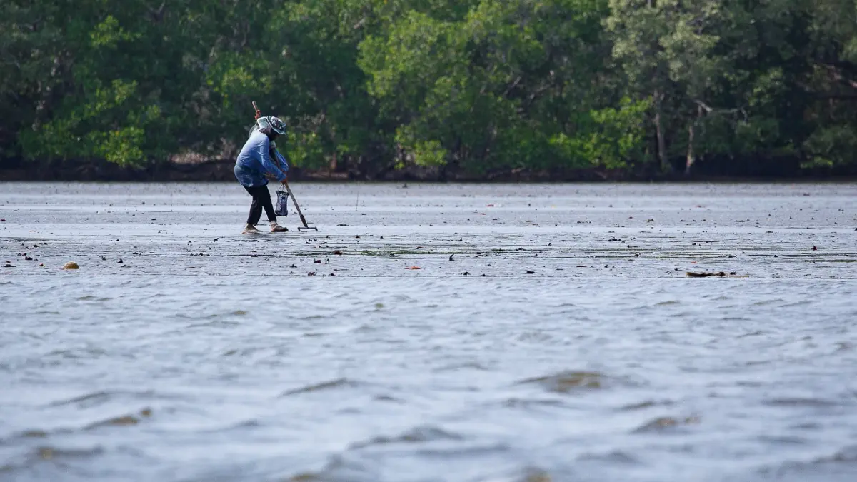 เที่ยวแบบนักอนุรักษ์ เนิบ ๆ ช้า ๆ ที่ 'ปากน้ำประแส'