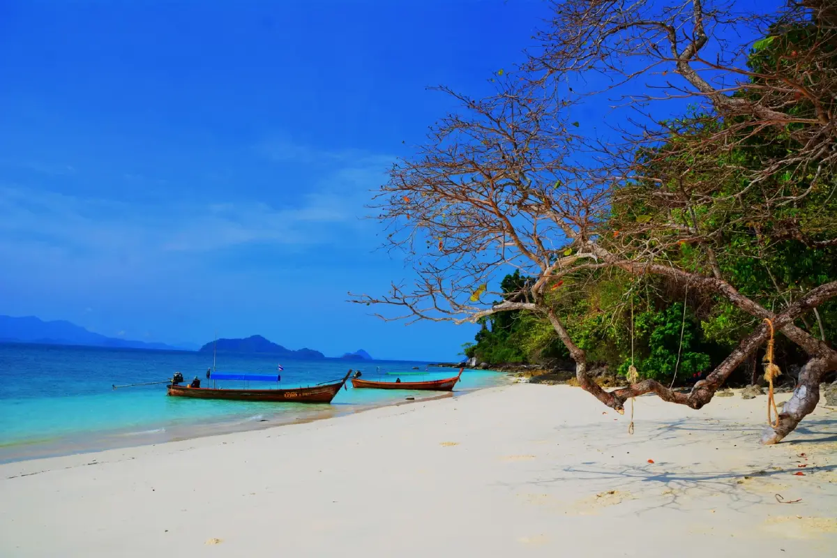 ค้างคืนบนเกาะกำ