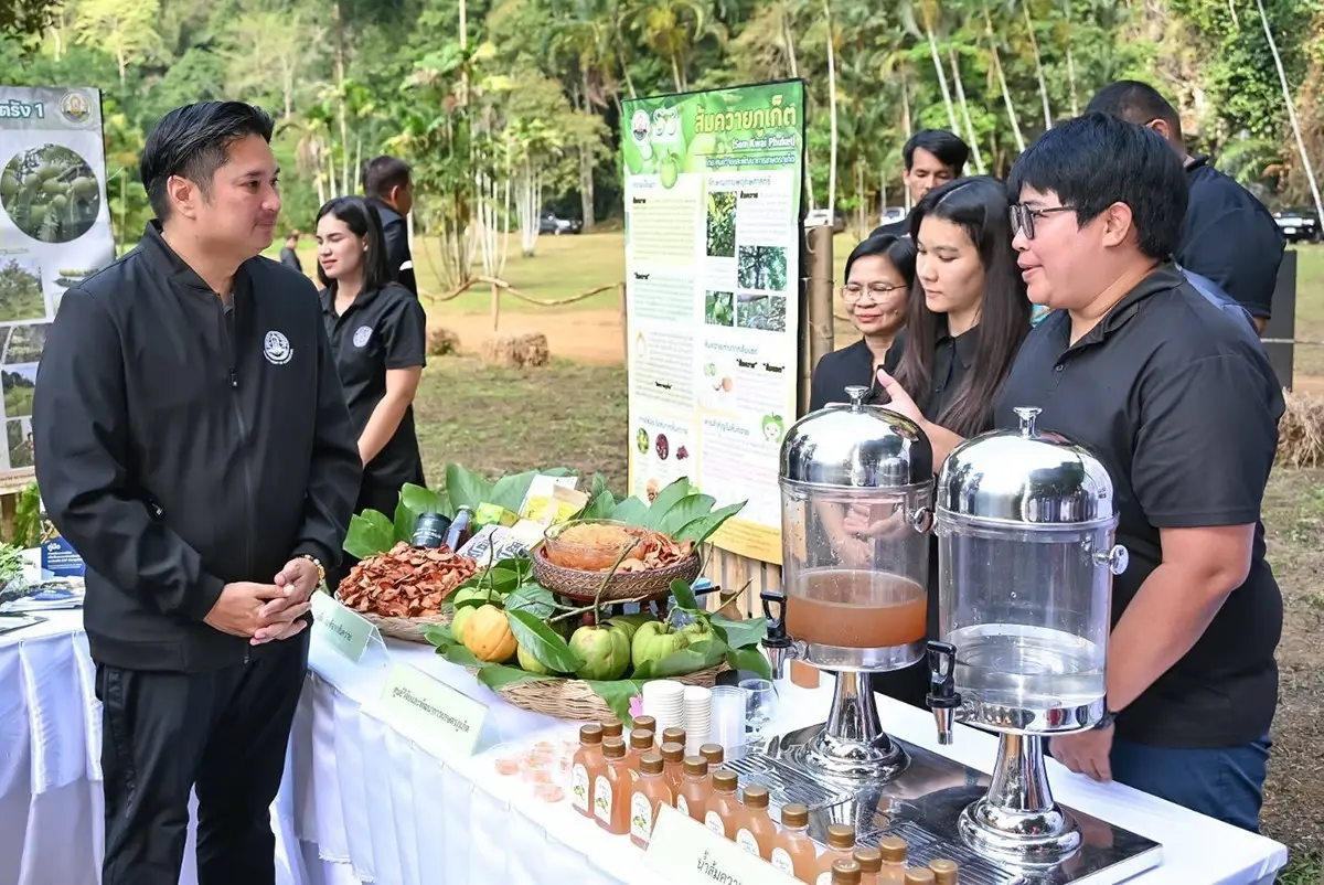 ยลโฉม ‘เหลืองกระบี่’ พืชป่าหายาก สู่หมุดท่องเที่ยวใหม่