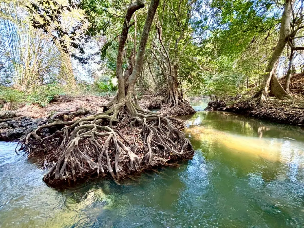 หน้าร้อน ปักหมุดเที่ยวเลย 'น้ำตกท่าสวรรค์' อ.นาด้วง น้ำใสไหลเย็น