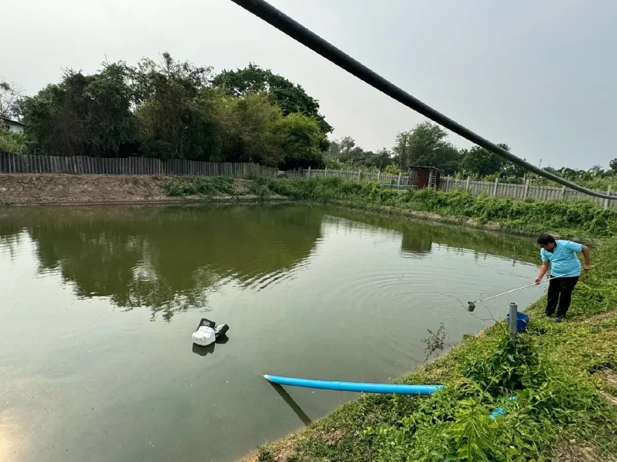 90% ตกเกณฑ์! คพ. คุมน้ำเสีย 'โรงฆ่าสัตว์เล็ก' ทั่วไทย พบค่า BOD พุ่ง