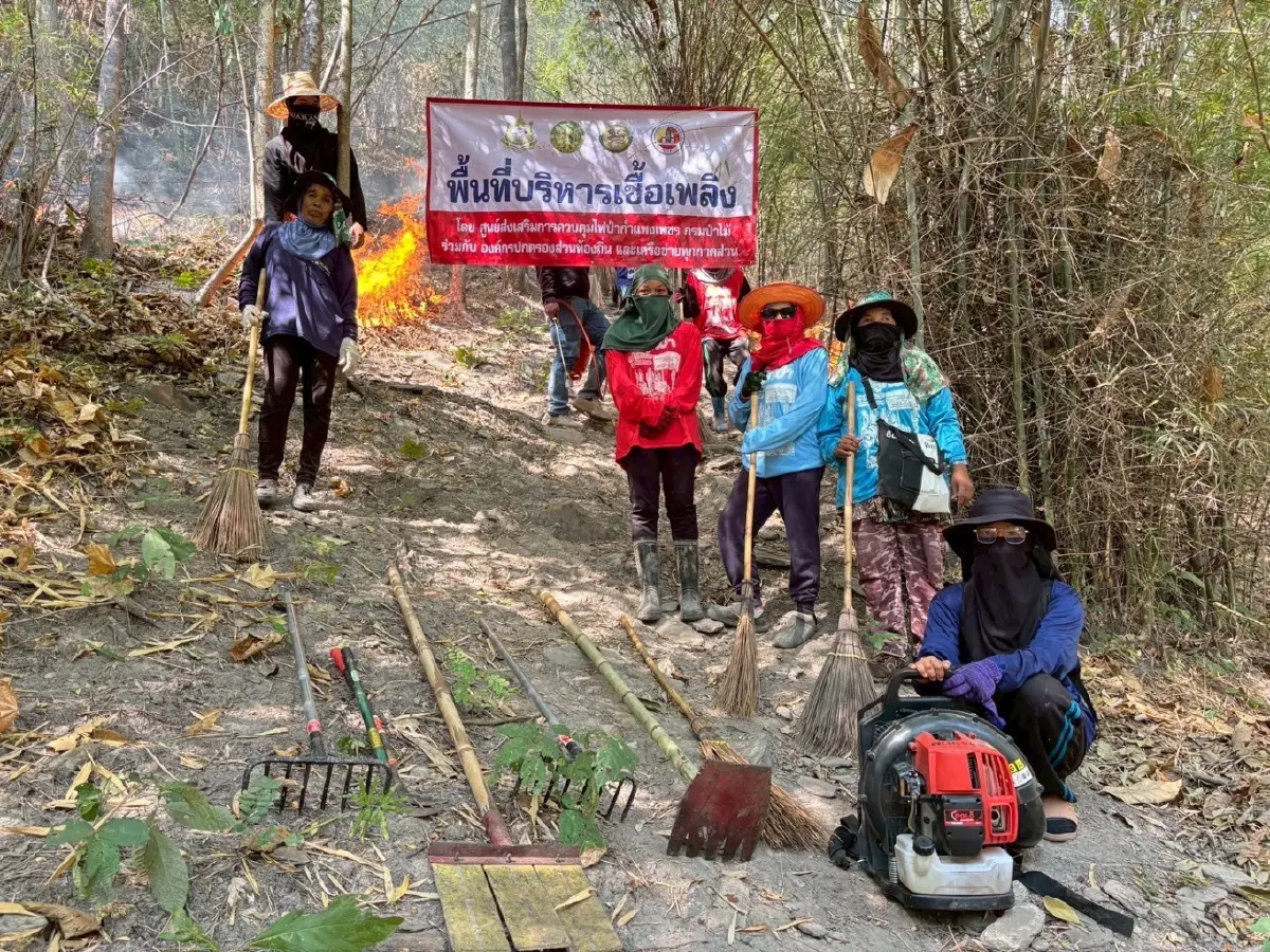 กรมป่าไม้ เคลียร์ปม 'เผาควบคุม' ลดความเสี่ยงไฟป่า 52,173 ไร่
