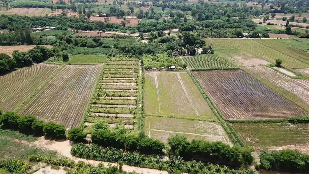 ทางรอดเกษตรกรไทย กรมพัฒนาที่ดินกาง 4 แผนเด็ด สยบปุ๋ยแพง