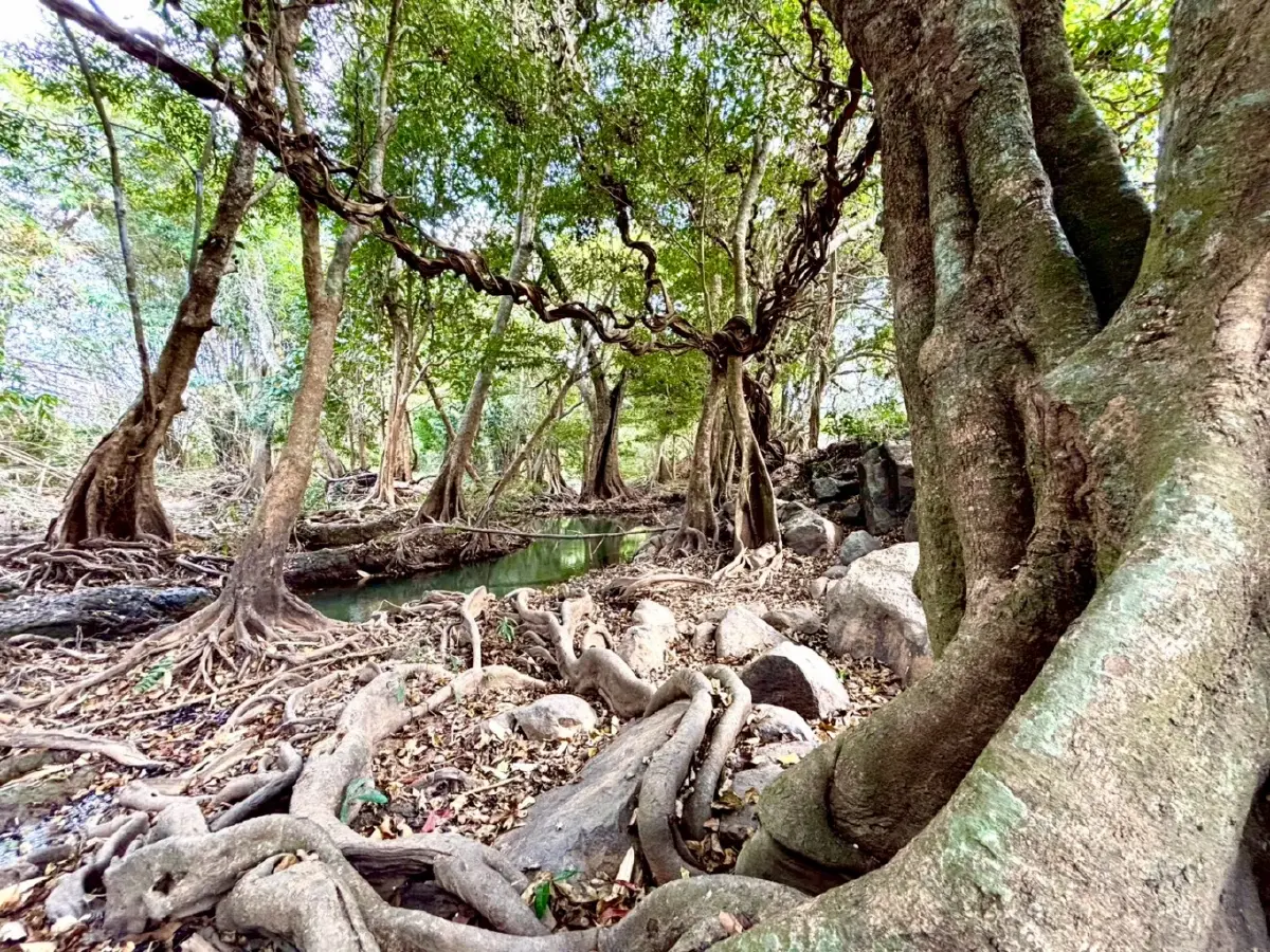 หน้าร้อน ปักหมุดเที่ยวเลย 'น้ำตกท่าสวรรค์' อ.นาด้วง น้ำใสไหลเย็น