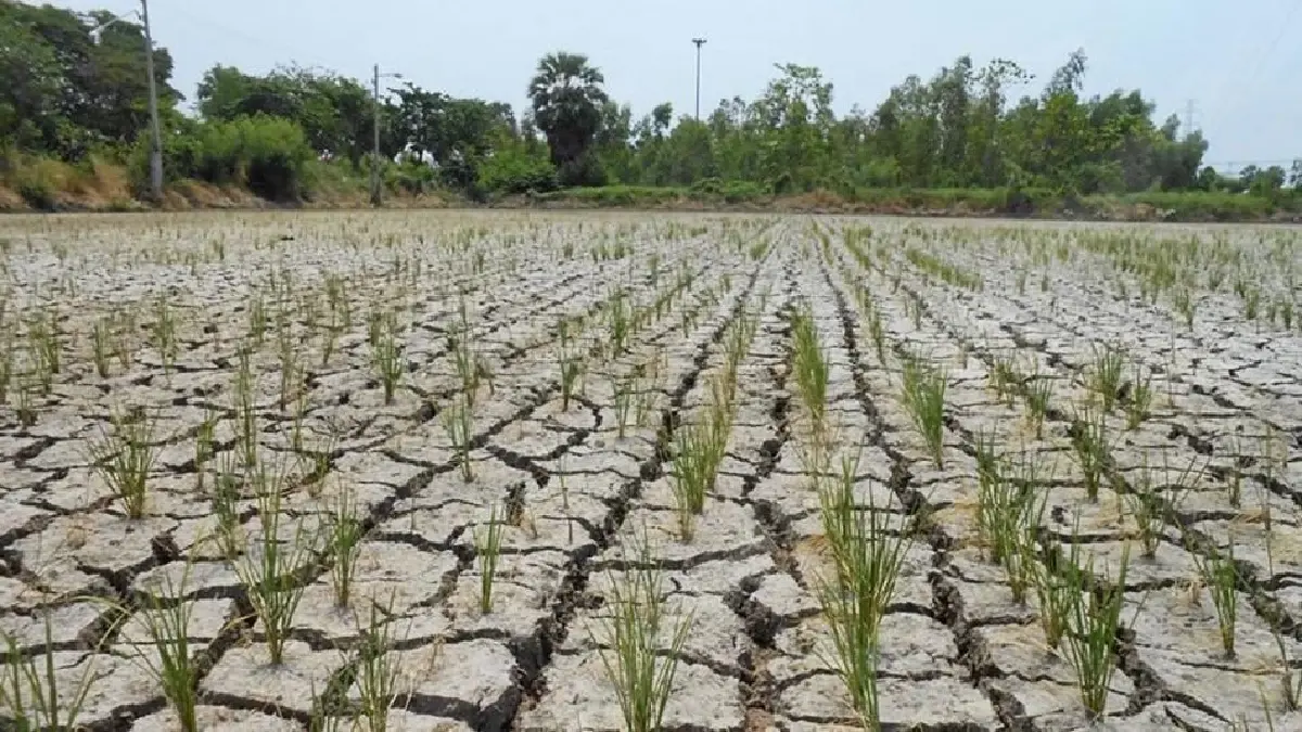 ‘สุริยะ’ งัด 4 ยุทธศาสตร์เด็ด สยบ ‘ซูเปอร์เอลนีโญ’ ช่วยเกษตรกร