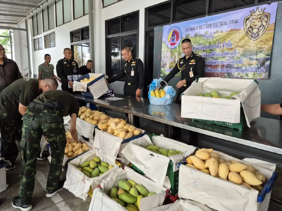 กอ.รมน.ภาค 1 ผนึกเอกชน รับซื้อมะม่วง ช่วยพยุงราคาหลังต้นทุนพุ่ง