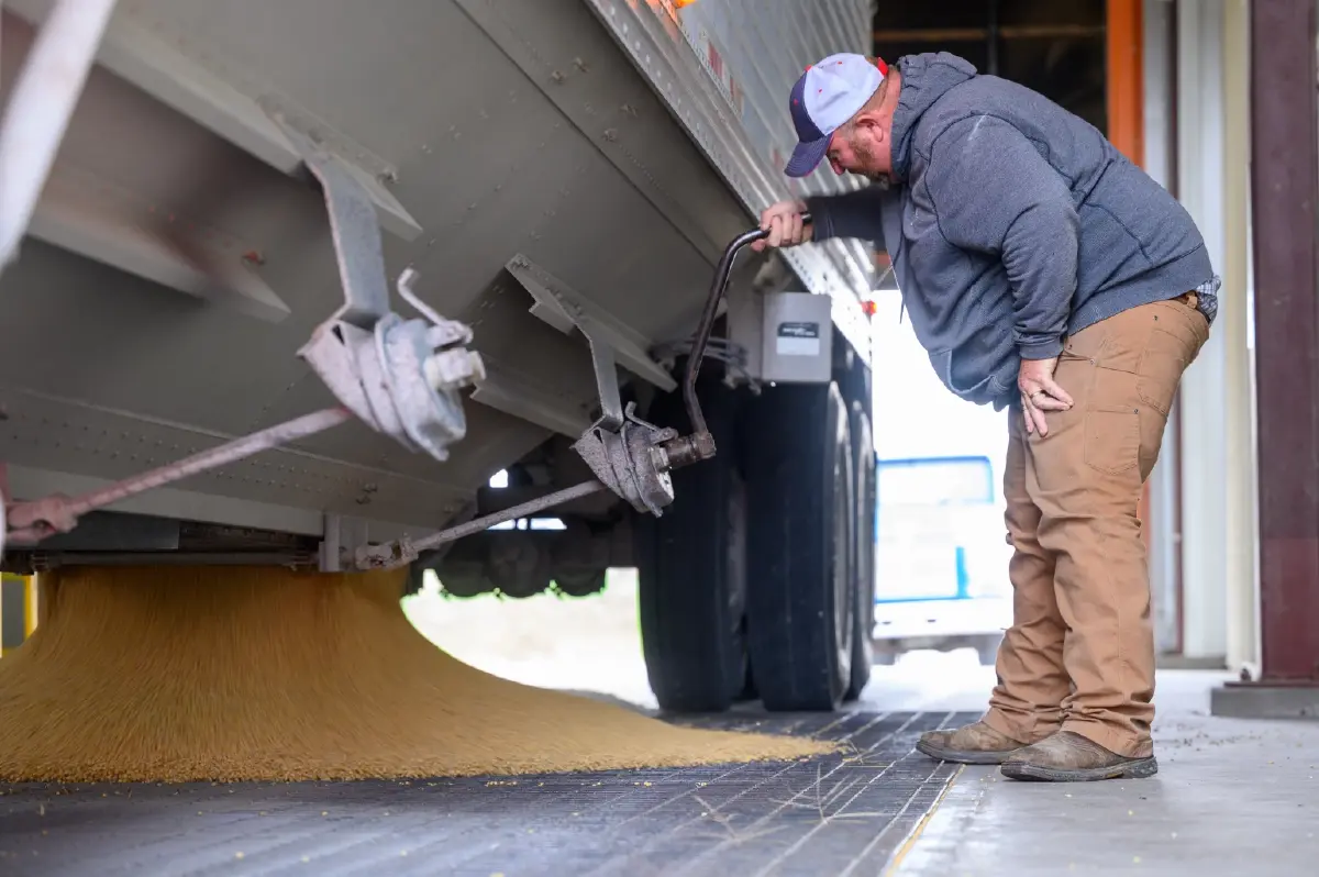 ไทย เร่งยกระดับห่วงโซ่อาหารสัตว์ ดันมูลค่าเนื้อสัตว์ส่งออกสู่ตลาดโลก