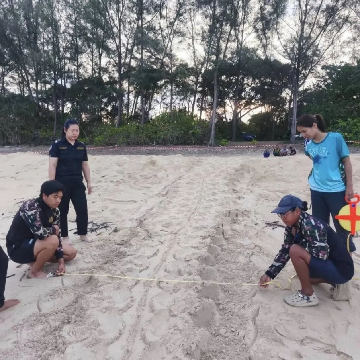 แม่เต่ามะเฟือง วางไข่หาดท้ายเหมือง ลุ้นลูกเต่าฟัก มิ.ย. นี้