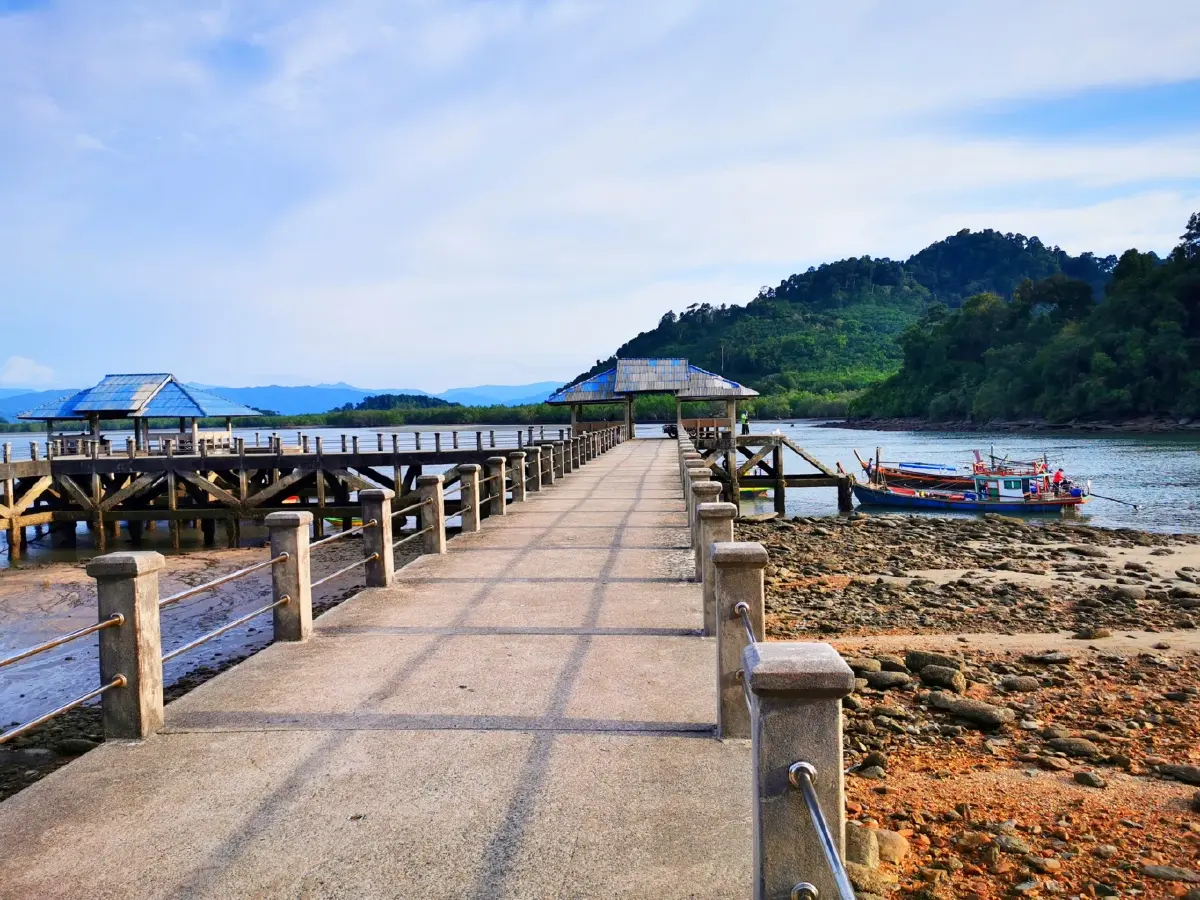 ค้างคืนบนเกาะกำ