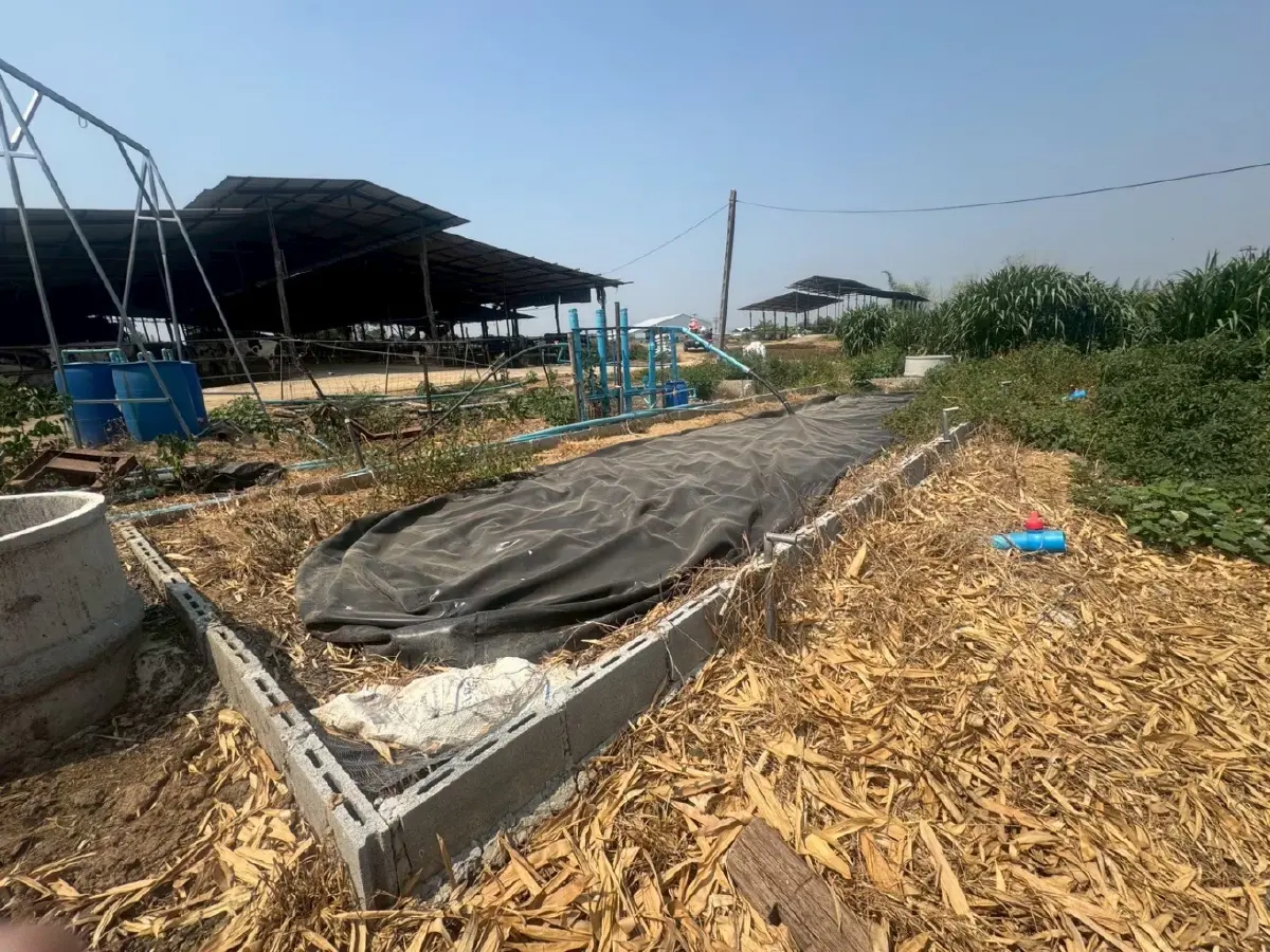 ภาคการเกษตรไทยลดก๊าซ 3.4 ล้านตัน ดัน CCAPA สู่ Net Zero ปี 2593