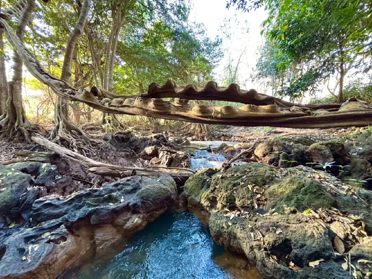 หน้าร้อน ปักหมุดเที่ยวเลย 'น้ำตกท่าสวรรค์' อ.นาด้วง น้ำใสไหลเย็น