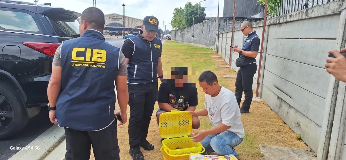 จับเครือข่าย 'ค้าสัตว์ป่าข้ามชาติ' พร้อมของกลาง 'ค่างแว่นถิ่นใต้' โยงขบวนการชาวอินเดีย