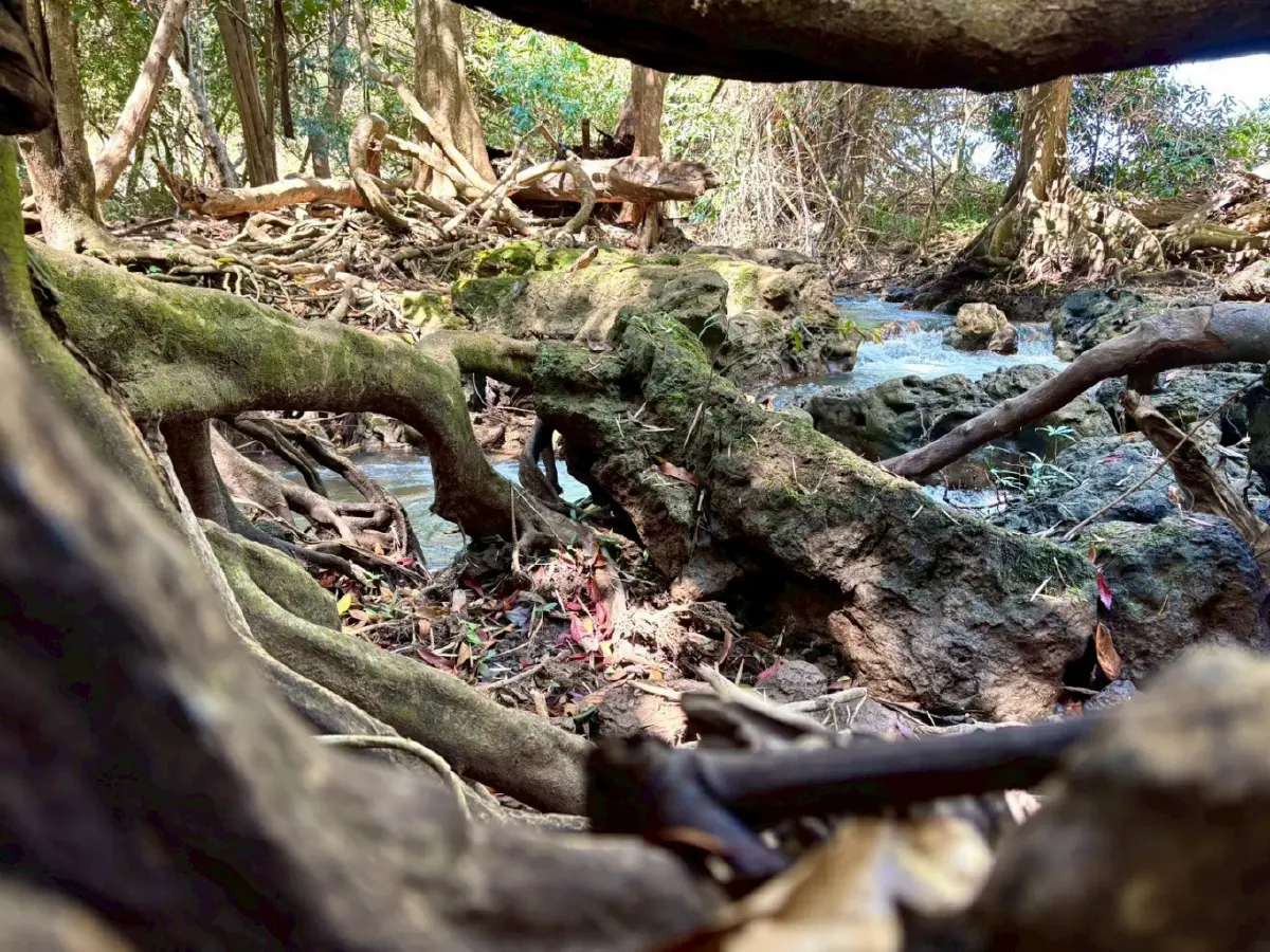 หน้าร้อน ปักหมุดเที่ยวเลย 'น้ำตกท่าสวรรค์' อ.นาด้วง น้ำใสไหลเย็น