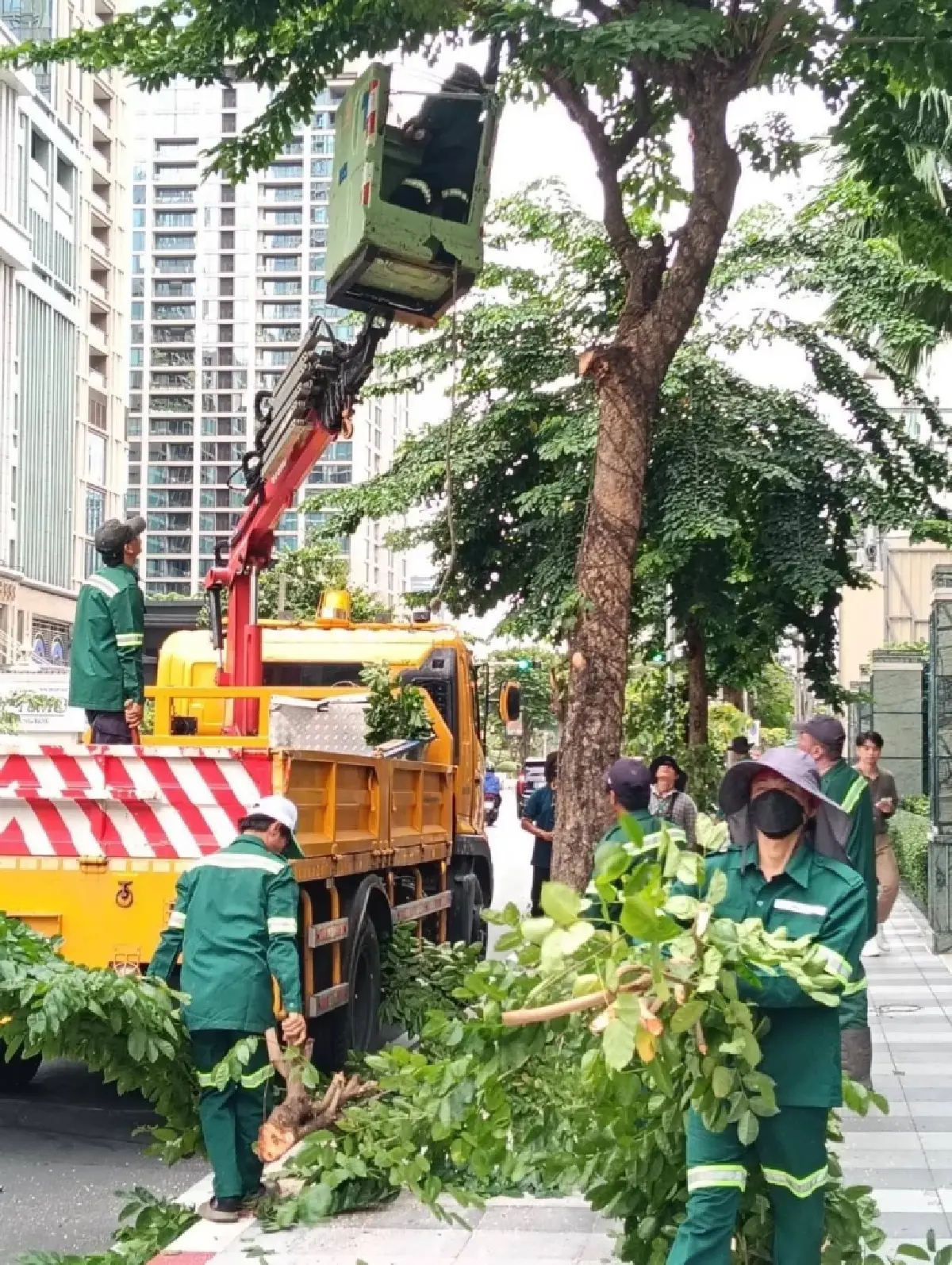 กทม. เตรียมพร้อมรับมือ 'พายุฤดูร้อน' รุกตัดแต่งต้นไม้ใหญ่เสี่ยงโค่นทั่วกรุง