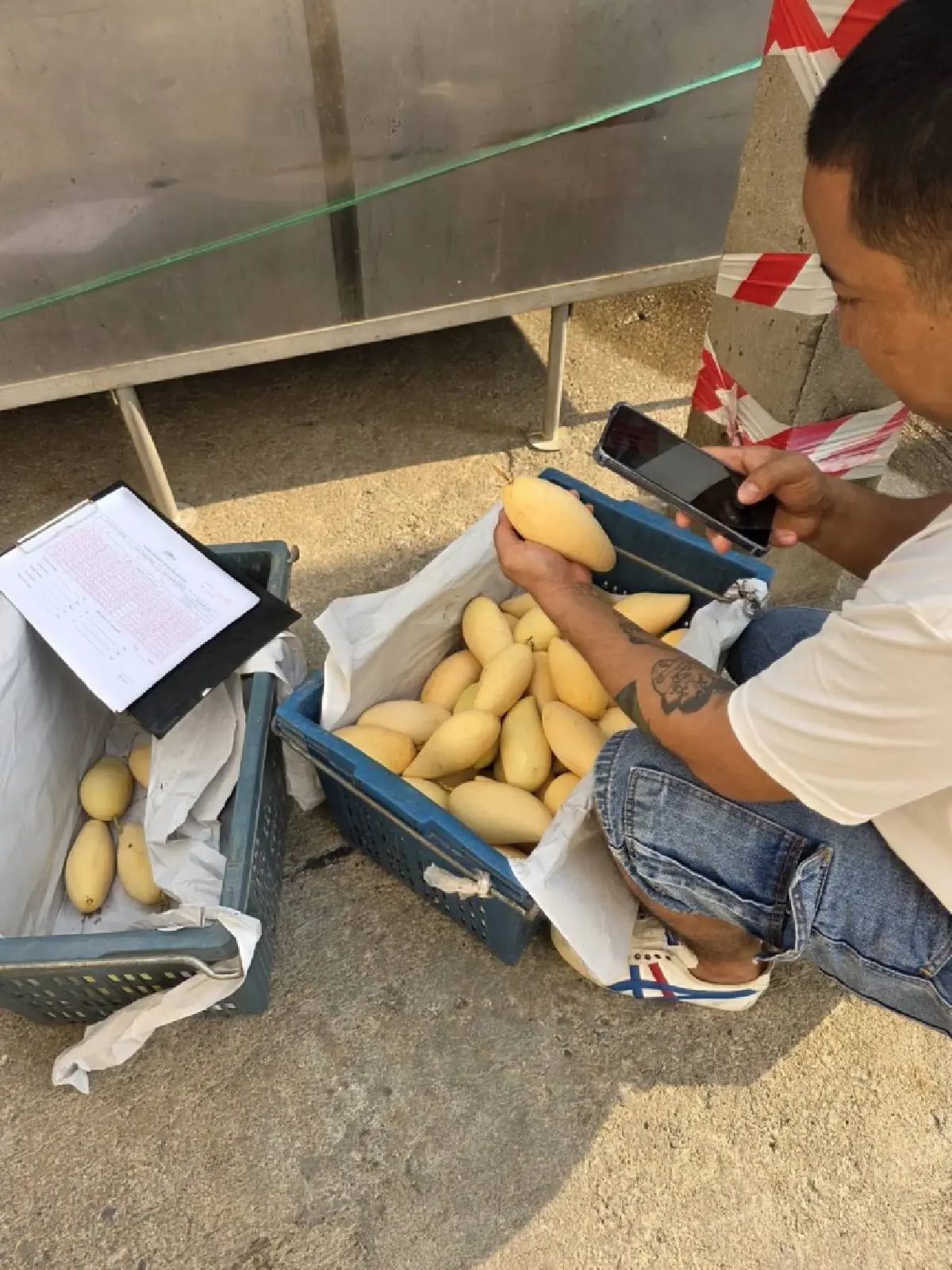 ‘สงคราม-ภัยแล้ง’  ฉุดผลผลิตเกษตร  สศก.จ่อปรับจีดีพี ปี69