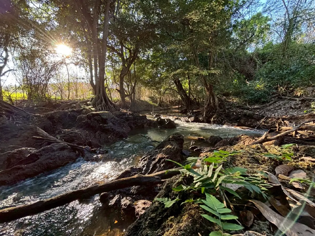 หน้าร้อน ปักหมุดเที่ยวเลย 'น้ำตกท่าสวรรค์' อ.นาด้วง น้ำใสไหลเย็น