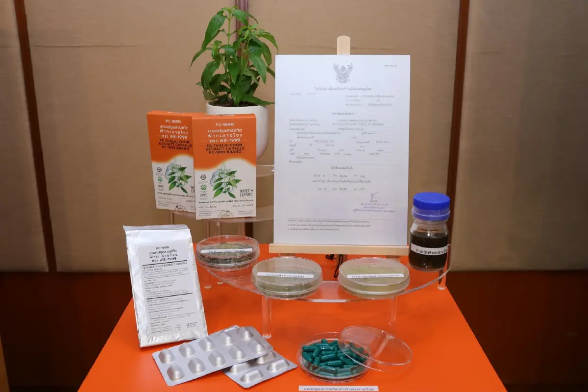 สถาบันวิจัยจุฬาภรณ์เปิดตัว 'ยาแคปซูลสารสกัดฟ้าทะลายโจร' สกัดด้วยน้ำแห่งแรก