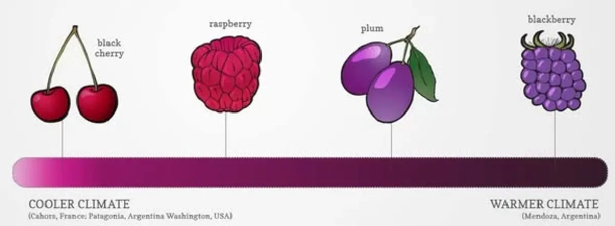 มาลเบค เวิลด์ เดย์ : วันแห่งองุ่นเล็กที่ยิ่งใหญ่