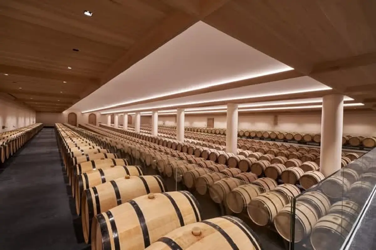 ตุ๊กตาเดี่ยว - ตุ๊กตาคู่ : ไวน์ตุ๊กตายอดนิยม