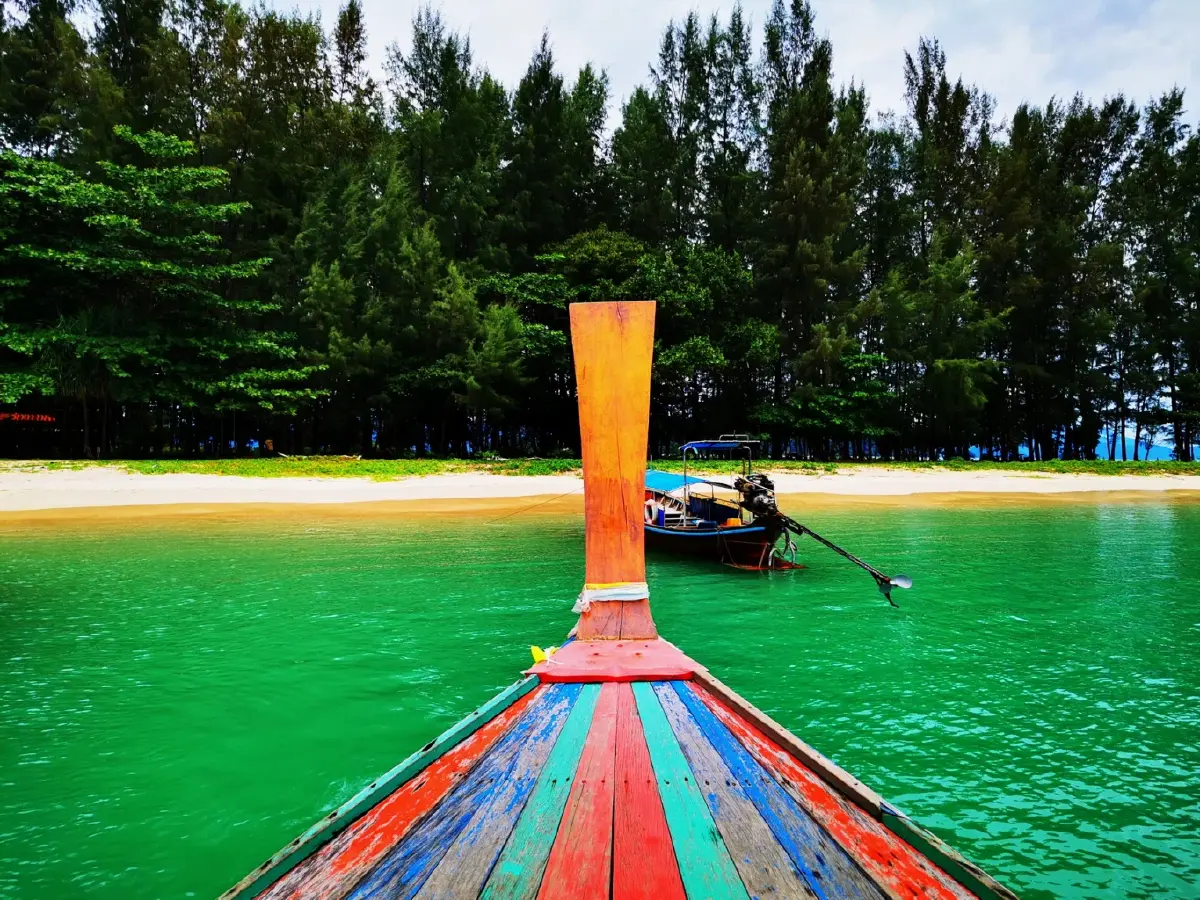 ค้างคืนบนเกาะกำ