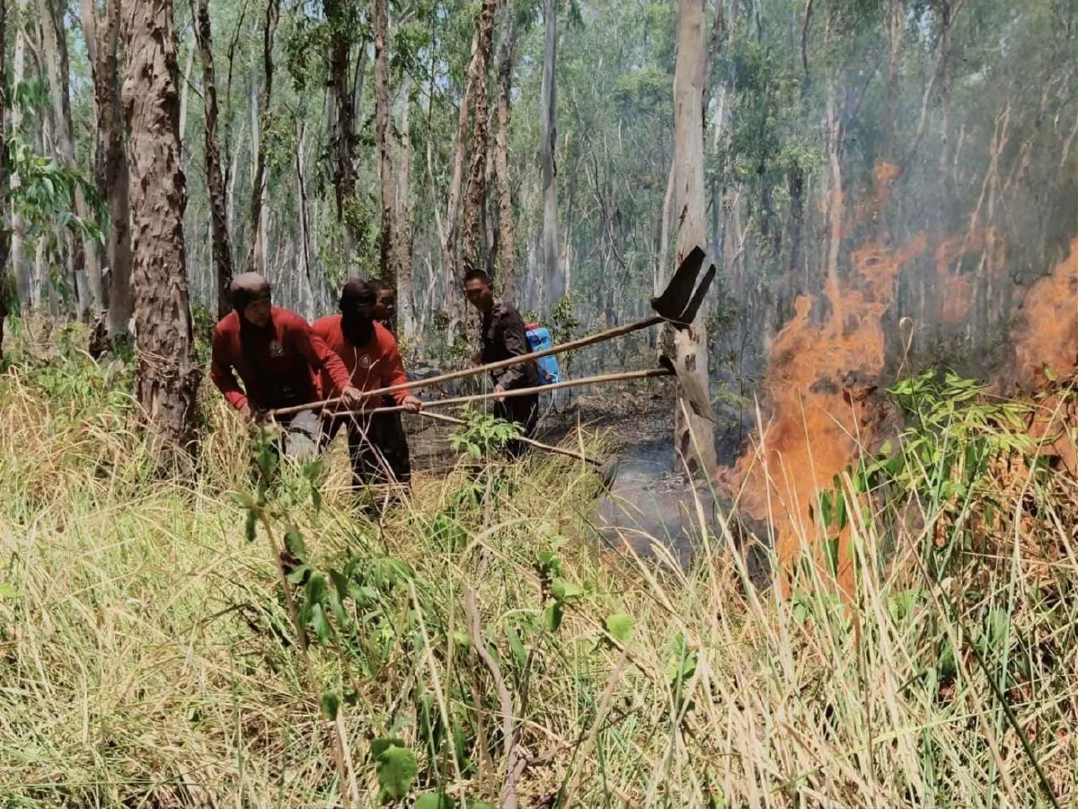 รัฐบาล สั่ง 'ปิดป่าทั่วประเทศ' สกัดไฟป่า-ฝุ่น PM2.5 ขั้นสูงสุด