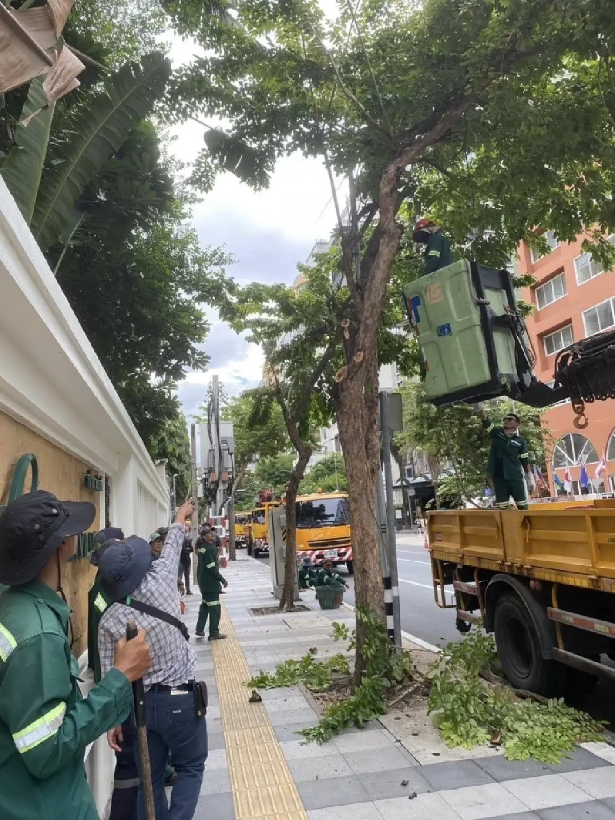 กทม. เตรียมพร้อมรับมือ 'พายุฤดูร้อน' รุกตัดแต่งต้นไม้ใหญ่เสี่ยงโค่นทั่วกรุง