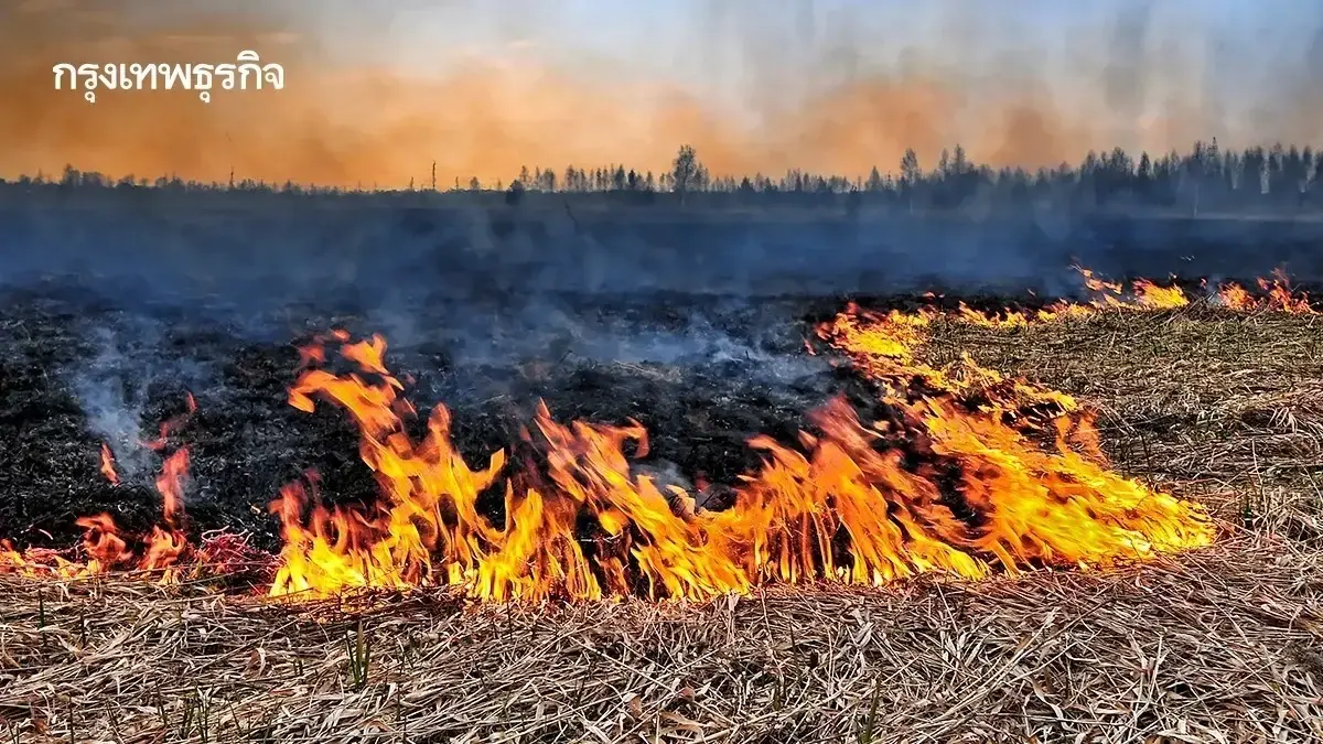 เจาะลึกเทคโนโลยี “Burn Scar”: อาวุธลับจับโกหกการเผา สั่นสะเทือนห่วงโซ่เกษตร-ธุรกิจส่งออกไทย