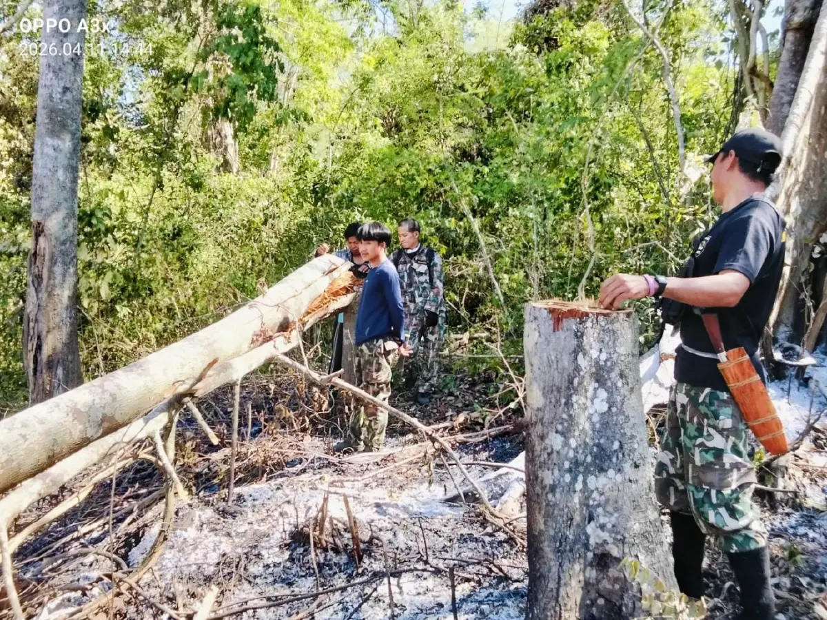 วอด 1,700 ไร่! ไฟป่าแก่งกระจานลามหนัก พบขบวนการลอบรุกป่ามรดกโลก