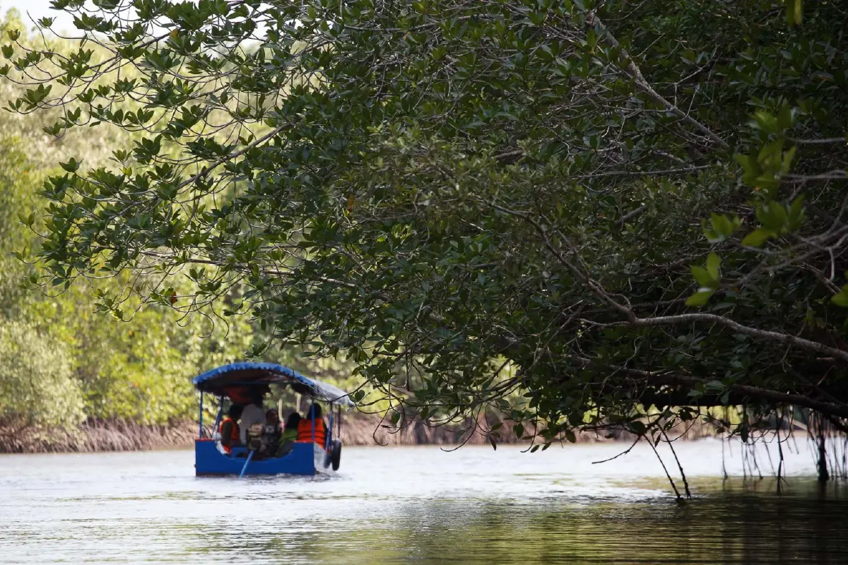 เที่ยวแบบนักอนุรักษ์ เนิบ ๆ ช้า ๆ ที่ 'ปากน้ำประแส'
