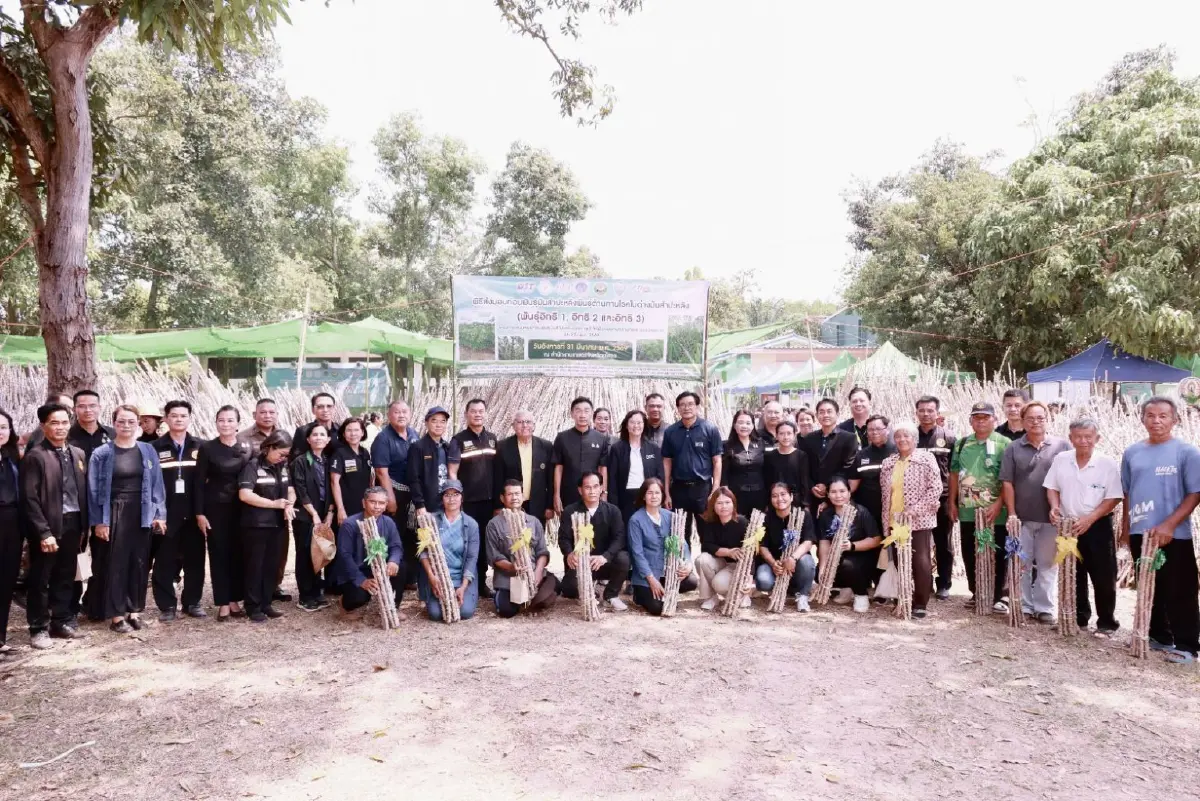 กรมส่งเสริมการเกษตร รุก ‘ยโสธรโมเดล’ กระจายพันธุ์มันสะอาดต้านโรค