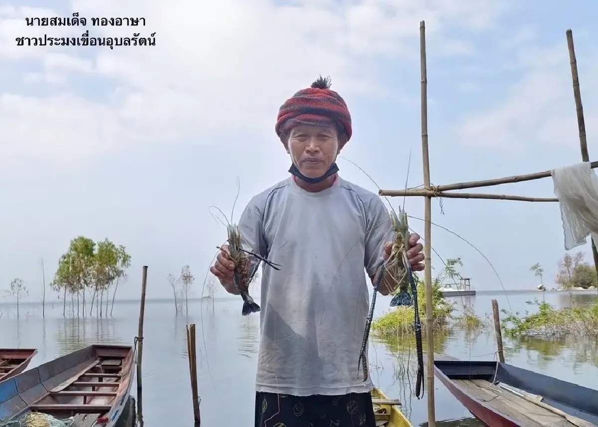 ขุมทรัพย์เขื่อนอุบลรัตน์! กุ้งก้ามกรามคืนถิ่น สร้างรายได้หลักหมื่นต่อคืน