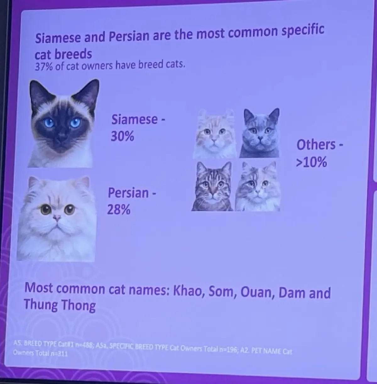 เทรนด์เลี้ยงแมวมาแรง ‘วิสกัส’ ชู Lucky Cat ต้องสุขภาพดี เจาะคนรักน้องเหมียว