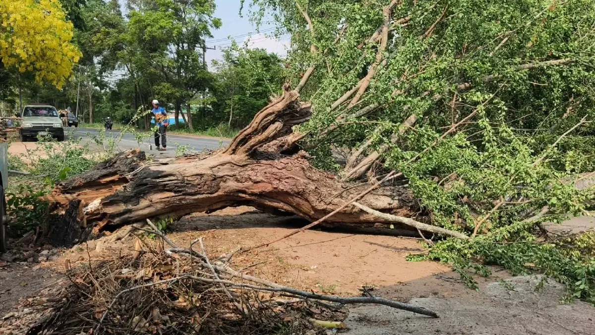พายุฤดูร้อนถล่มโคราชพังยับ โดมทรุด บ้านพัง น้ำท่วม จับตาฝนตกอีก