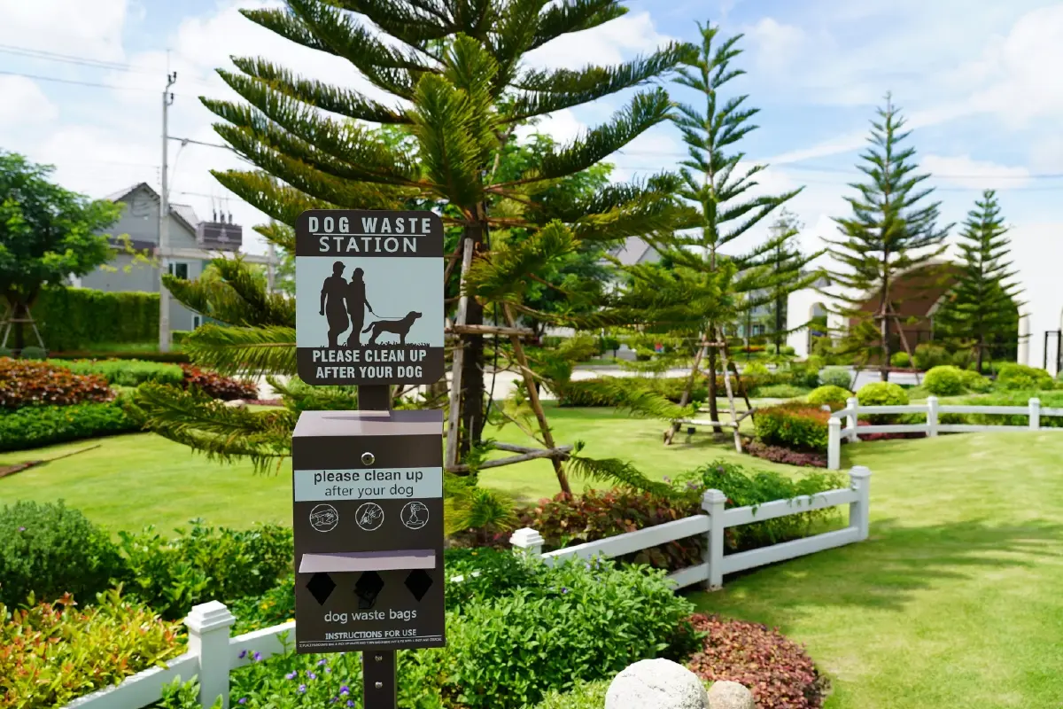 พลัส พร็อพเพอร์ตี้ ชูแนวคิดโครงการ Pet Welcome ยกระดับการอยู่อาศัยของคน-สัตว์เลี้ยง
