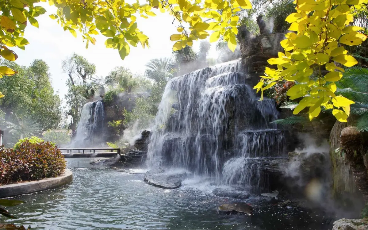 เที่ยวแบบนักอนุรักษ์ เนิบ ๆ ช้า ๆ ที่ 'ปากน้ำประแส'