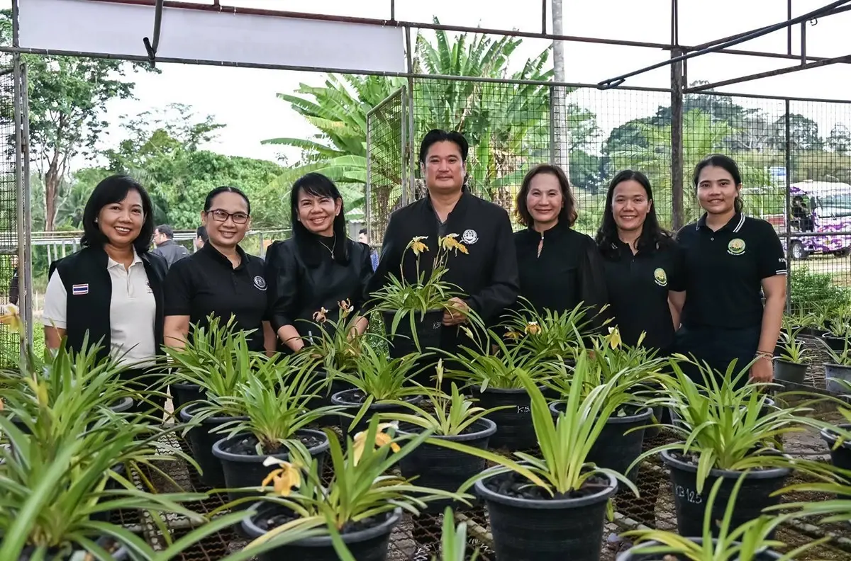 ยลโฉม ‘เหลืองกระบี่’ พืชป่าหายาก สู่หมุดท่องเที่ยวใหม่