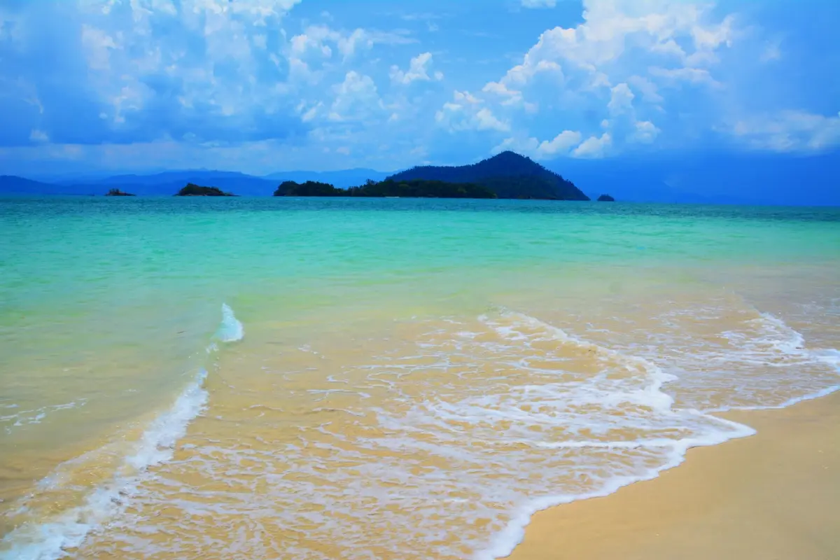 ค้างคืนบนเกาะกำ