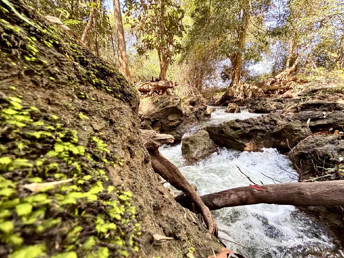 หน้าร้อน ปักหมุดเที่ยวเลย 'น้ำตกท่าสวรรค์' อ.นาด้วง น้ำใสไหลเย็น