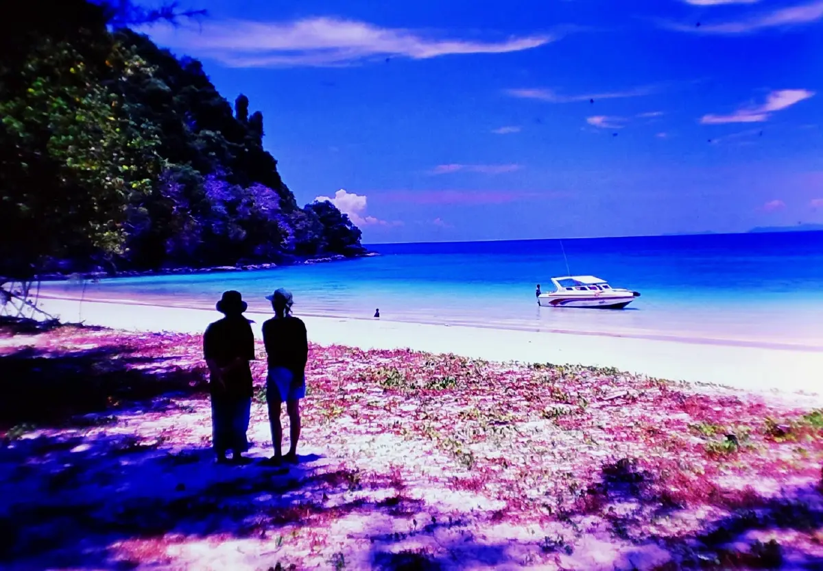 ค้างคืนบนเกาะกำ