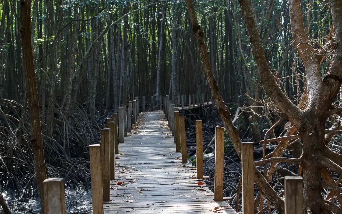 เที่ยวแบบนักอนุรักษ์ เนิบ ๆ ช้า ๆ ที่ 'ปากน้ำประแส'