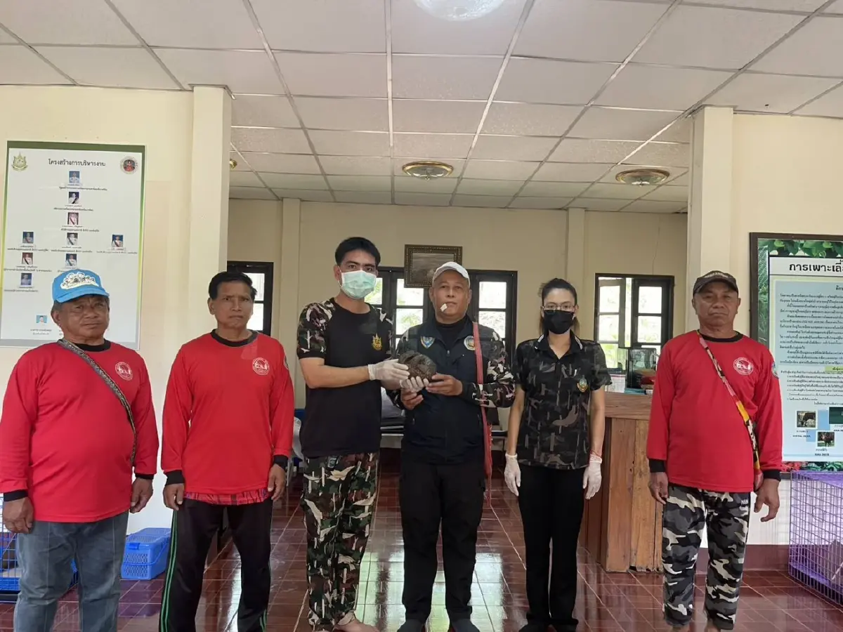 ภาพสะเทือนใจ 'ลิ่น' หนีตายไฟป่าซุกซอกไม้ บาดเจ็บสาหัส เกล็ดแตก ส่งรักษาด่วน