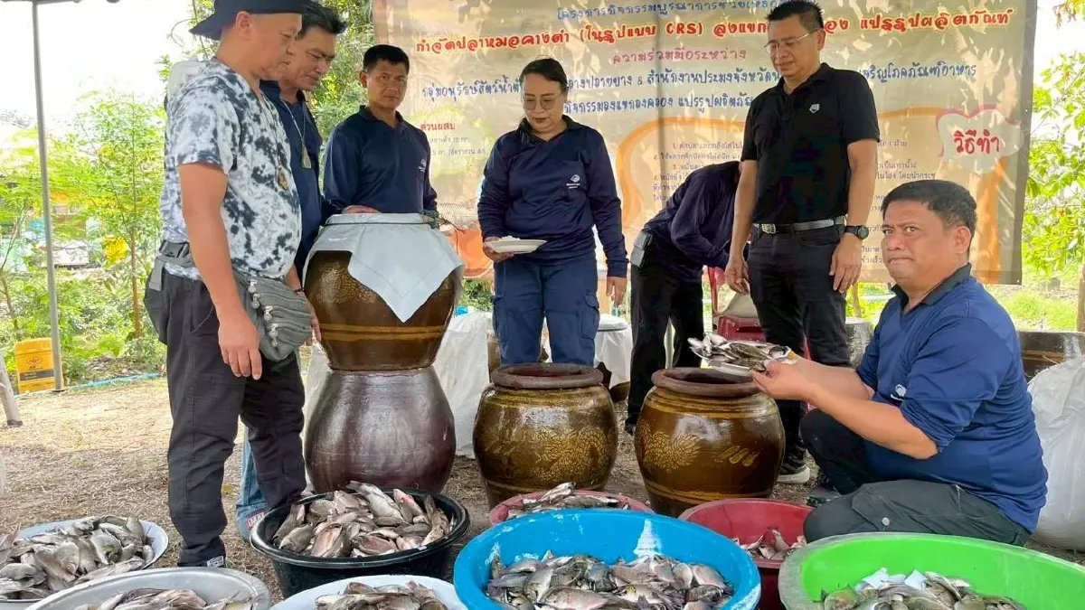 กมธ.เกษตร-ประมง เผยปลาหมอคางดำลด พลิกวิกฤตสร้างรายได้,,